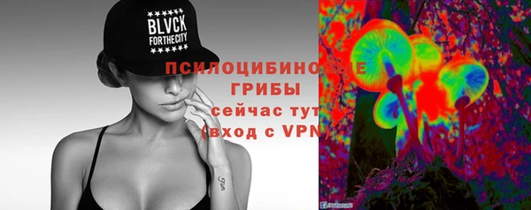 мяу мяу кристалл Вяземский