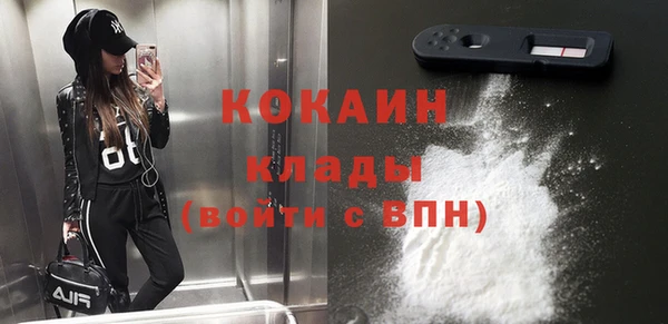 хмурый Мегион