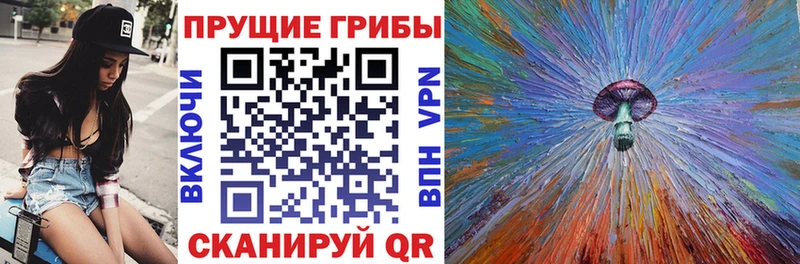 Псилоцибиновые грибы GOLDEN TEACHER дарнет шоп Дудинка